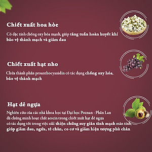 Combo 3 Thực phẩm chức năng Dân Khang Pharma Viên Uống Làm Giảm Và Phòng Ngừa Suy Giãn Tĩnh Mạch Vascovein (30 viên/hộp)