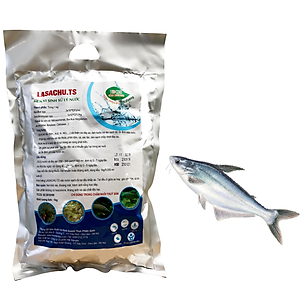 LASACHU - Vi sinh xử lý ao nuôi Tôm, Cá.. 