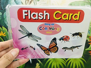bộ thẻ học thông minh cho bé từ 0 đến 3 tuổi, Bộ Thẻ Học Thông Minh Flashcard Song Ngữ Cho Bé - Hàng Chính Hãng