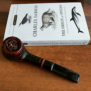 Sách Signet Classics : The Origin of Species (150TH ANNIVERSARY EDITION)