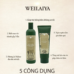 Bộ Dầu Gội Xả Hỗ Trợ Trị Rụng Tóc Kích Thích Mọc Tóc Weilaiya Tinh Chất Gừng Hà Thủ Ô Cao Cấp Ngăn Ngừa Rụng Tóc Lưu Thông Mạch Máu Hương Thảo Dược (Gội 400ml- Xả:250ml)- Sản Phẩm Chính Hãng