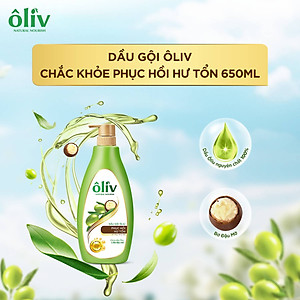 DẦU GỘI OLIV 650ML PHỤC HỒI HƯ TỔN/ CHẮC KHỎE BỒNG BỀNH