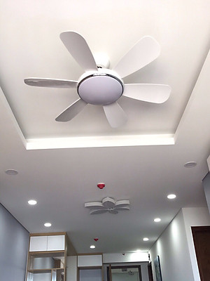 quạt trần có đèn trang trí, quạt rất mát và chạy rất êm, có điều khiển từ xa