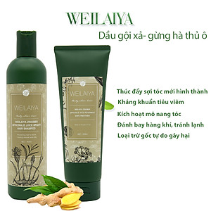Bộ Dầu Gội Xả Hỗ Trợ Trị Rụng Tóc Kích Thích Mọc Tóc Weilaiya Tinh Chất Gừng Hà Thủ Ô Cao Cấp Ngăn Ngừa Rụng Tóc Lưu Thông Mạch Máu Hương Thảo Dược (Gội 400ml- Xả:250ml)- Sản Phẩm Chính Hãng