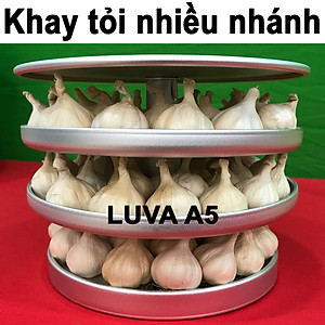 Nồi làm tỏi đen công nghệ Nhật Bản LUVA A5(5L) - Hàng chính hãng