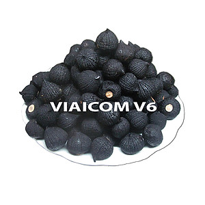 Máy làm tỏi đen VIAICOM V6 - 6 lít - CN Nhật Bản - Hàng chính hãng