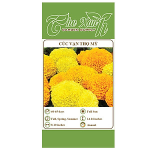 Bộ 3 gói Hạt giống hoa cúc vạn thọ mỹ - 200 hạt/gói