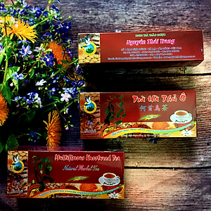 Trà Hà Thủ Ô Giúp Đen Tóc (Hộp 50 Túi Lọc X 2g) - Nguyên Thái Trang – Thảo Dược Thiên Nhiên – Tốt Cho Sức Khỏe 