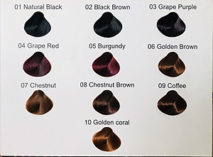 Thuốc Nhuộm Tóc Tại Nhà Thảo Mộc OHBAMA CHÍNH HÃNG với 10 màu lựa chọn Tuýp 240ml