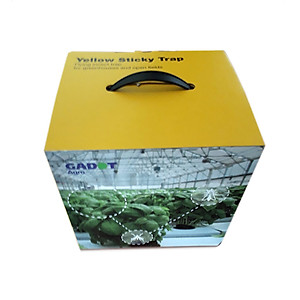 Bộ 5 mét Keo bẫy ruồi đục trái, bẫy bọ trĩ, bọ phấn, sâu vẽ bùa và bẫy các côn trùng khác của Israel với thời gian trên 6 tháng 