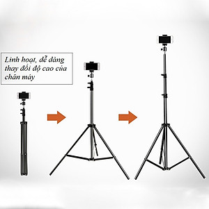 [TRIPOD] Cây Livestream Selfiecom - Hỗ trợ chụp ảnh, quay video, chơi tiktok, gắn đèn livestream - Tặng kèm remote bluetooth chụp ảnh- Hàng chính hãng