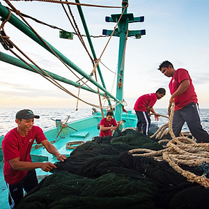 Nước mắm Phú Quốc Thanh Hà 40N - 520ml