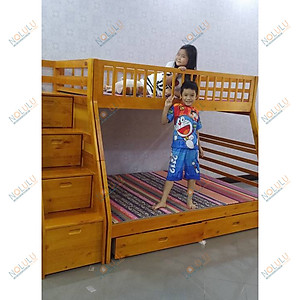 Giường 2 Tầng Gỗ Tự Nhiên Bella Esprit 192 (Vàng)