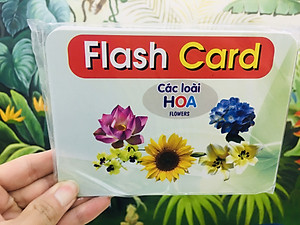 bộ thẻ học thông minh cho bé từ 0 đến 3 tuổi, Bộ Thẻ Học Thông Minh Flashcard Song Ngữ Cho Bé - Hàng Chính Hãng