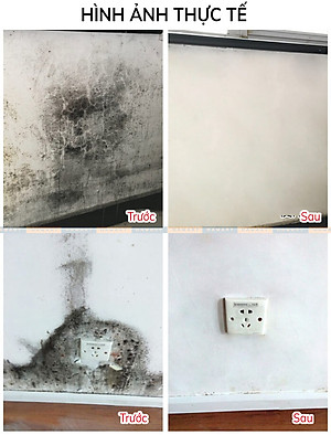 Chai Xịt Tẩy Mốc Tường Nhà 500ml LKB Tẩy Sạch Nấm Mốc Hiệu Quả Tiện Lợi Hàng Chính Hãng