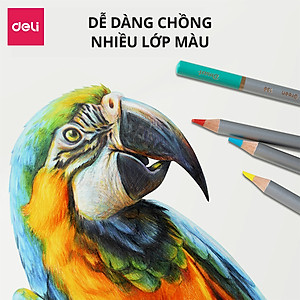 Hộp bút chì màu gốc dầu Dmast cao cấp Deli - Hộp thiếc màu đậm, tươi sáng, tô vẽ tranh cho người mới, chuyên nghiệp cho người mới
