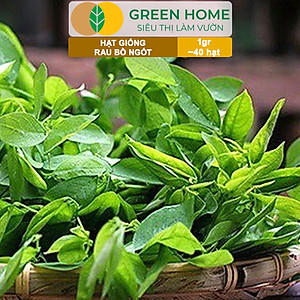 Hạt Giống Rau Bồ Ngót Greenhome, Gói 0,5g, Dễ Trồng Quanh Năm, Nảy Mầm Cao, Thu Hoạch Nhanh, Năng Suất Cao R18