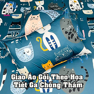 Bộ 2 Áo gối vải lụa chống thấm, vỏ gối có đủ kích thước yêu cầu