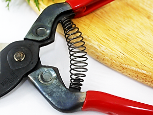 Kéo cắt cành cao cấp Nhật Bản Chikamasa PST-8 chiều dài lưỡi 45mm - lưỡi thép carbon chất lượng cao siêu bén - cắt ngọt, không bám dính, liền sẹo nhanh