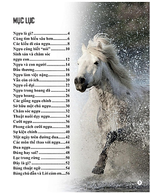 Sách Bách Khoa Tri Thức Về Khám Phá Thế Giới Cho Trẻ Em - Horses And Ponies - Loài Ngựa