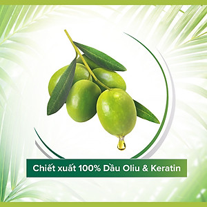 Dầu gội xả 2in1 Palmolive thiên nhiên 600ml 