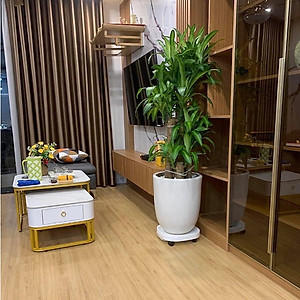 Đế Kê Chậu Cây, Đế Lót Chậu Cây Có Bánh Xe Di Chuyển Đa Năng Và Khay Hứng Nước Tiện Lợi