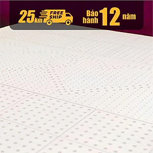 Nệm Cao Su Thiên Nhiên Kim Cương Purelux- 3’Zone