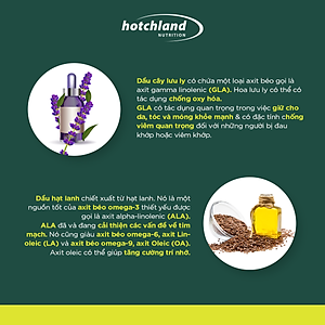 Viên uống Omega369 - Optimum Omega 3.6.9 Hotchland Nutrition hỗ trợ não bộ, thị lực, tim mạch, giảm nguy cơ đột quỵ - Hộp 60v - Hàng chính hãng nhập khẩu Mỹ