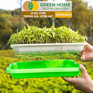 Khay Trồng Rau Greenhome, D34xR25xC5cm, Nhựa Nguyên Sinh, An Toàn, Chuyên Trồng Giá, Rau Mầm Tại Nhà, Không Cần Đất