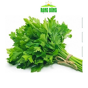 Hạt giống Cần Tây THERA - GÓI 5gram - RẠNG ĐÔNG - độ đồng đều cao , thân lá màu xanh mướt ,lá to có khía sâu ,mùi rất thơm