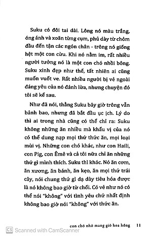 Sách Con Chó Nhỏ Mang Giỏ Hoa Hồng (Tái Bản)