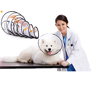 Vòng Loa Đeo Cổ Chống Liếm Cho Chó Mèo Trong Suốt