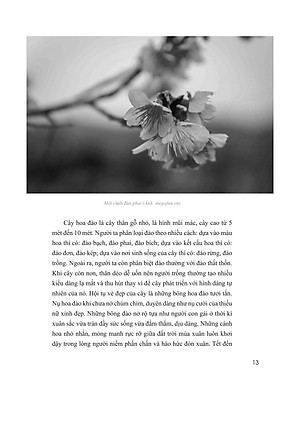 Sách Những Bài Văn Mẫu Lớp 8 (Tập 2)