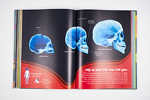 Sách Britannica's Encyclopedia Infographica - Bách khoa thư bằng đồ họa