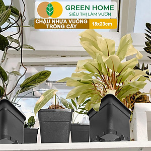 5 Chậu Vuông Trồng Cây Greenhome, Nhiều Kích Thước, Nhựa Cứng, Thoát Nước Tốt, Trồng Hoa, Kiểng Lá