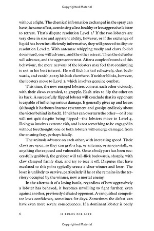 12 Rules for Life: An Antidote to Chaos