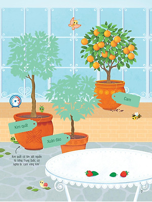 First Sticker Book - Sách Dán Hình Đầu Đời Cho Bé - Trái Cây Và Rau Củ