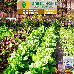 Phân bón NPK 16-12-8-11S+TE Greenhome, Better, Bao 1kg, Phát Triển Nhanh Thân, Cành, Lá, Bộ Rễ