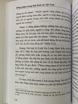 Đồng phạm trong luật hình sự Việt Nam