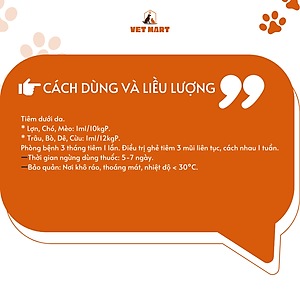 Five Ivermectin - Thuốc Hỗ Trợ Trị Nội, Ngoại Ký Sinh Trùng Cho Thú Cưng - Fivevet
