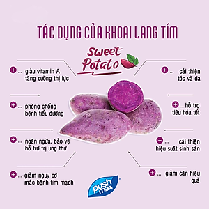 Thùng 24 Lon Sữa Chua Uống Từ Thực Vật Wakai Active (250ml x 24 lon)