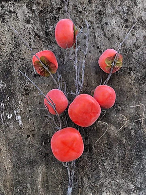 Quả giả, cành quả hồng 5-7 trái trang trí nhà cửa, quán cà phê, nhà hàng sang trọng QH-57