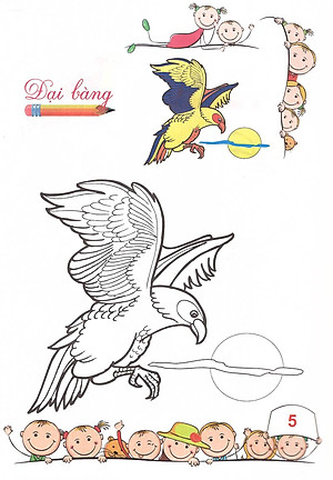 Sách Tô Màu - Mẫu Giáo - Các Loài Chim