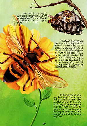 Sách Thế Giới Động Vật Kì Thú - Vườn Côn Trùng