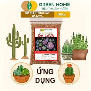 Đá Nham Thạch Lava GreenHome, Bao 500GR, Giá Thể Cho Thủy Sinh, Bonsai, Xương Rồng Màu Đỏ, Đen, Sạch Bụi