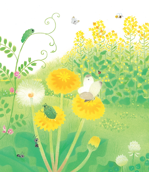 Sách - Gà con và hoa hướng dương