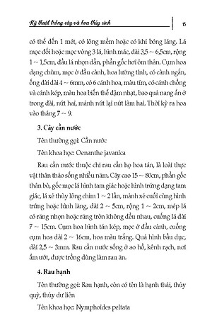 Nông Nghiệp Xanh, Sạch - Kỹ Thuật Trồng Cây Và Hoa Thuỷ Sinh (Tái bản)