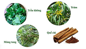 Dầu Lợi An Bôi Ho Cho Bé - Hết Đờm - Sổ mũi - Khò Khè - Tăng Đề Kháng