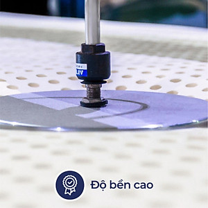 Gối Cao Su Liên Á Oval LAGOV4565 (45 x 65 cm) - Trắng