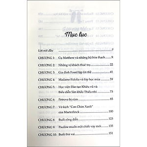 Sách Đôi Giày Ba-Lê - Noel Streatfeild